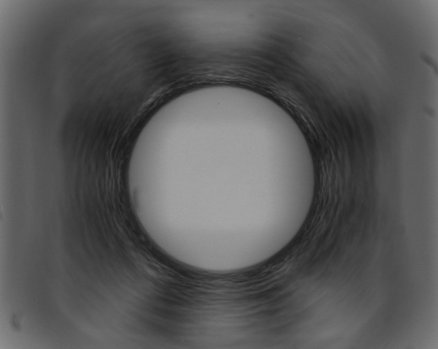 X0000094910312200711291005
