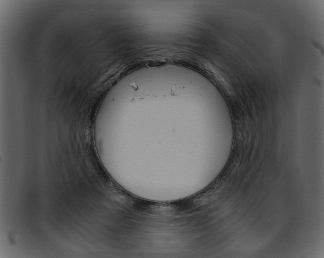 X0000094910313200711291005