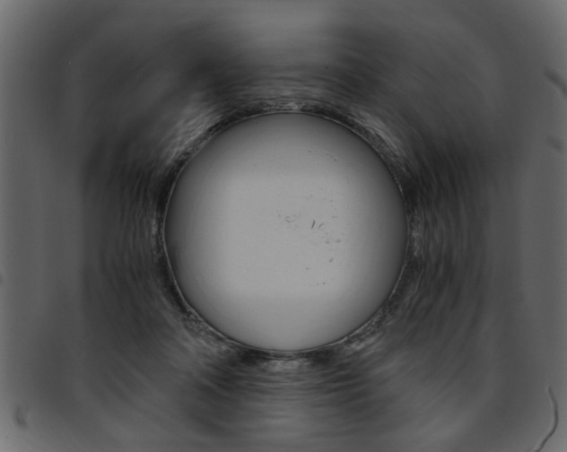 X0000094910314200711291005