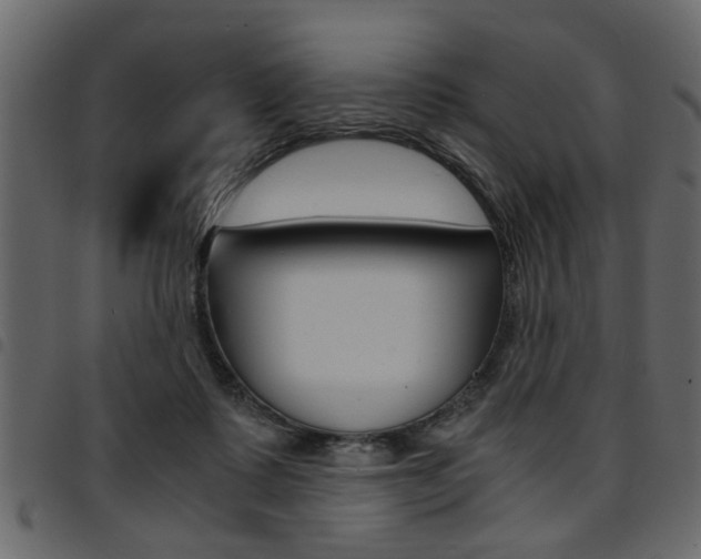 X0000094910315200711291005