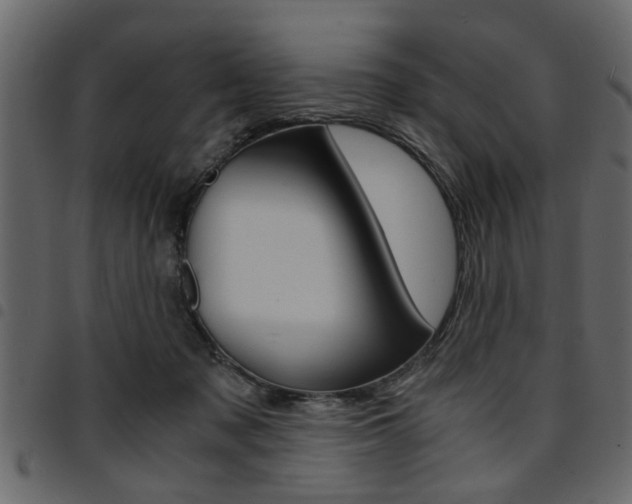 X0000094910317200711291005