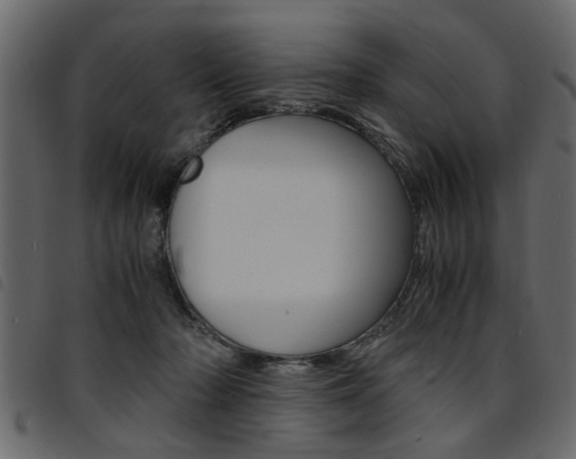 X0000094910318200711291005