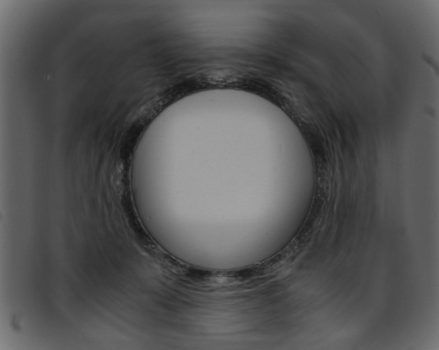 X0000094910319200711291005