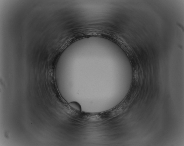 X0000094910322200711291005