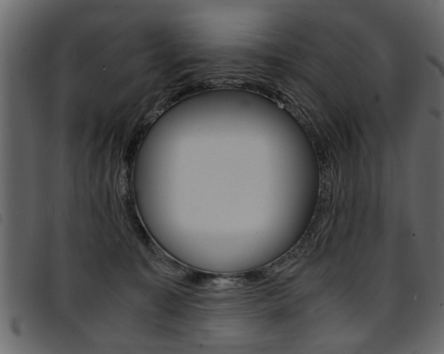 X0000094910323200711291005
