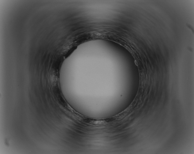 X0000094910324200711291005