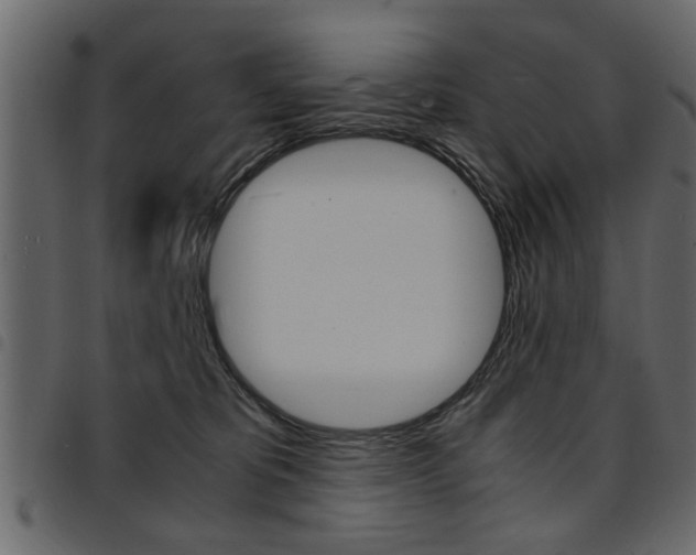 X0000094910325200711291005