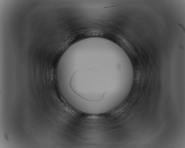 X0000094910326200711291005