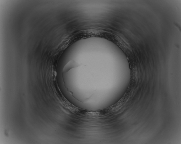 X0000094910328200711291005