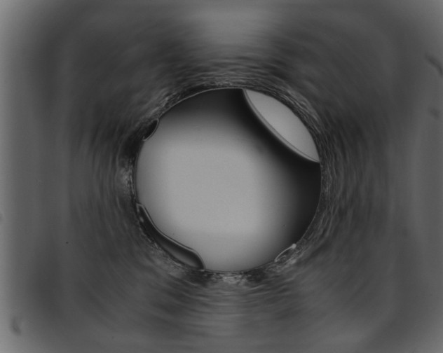 X0000094910329200711291005