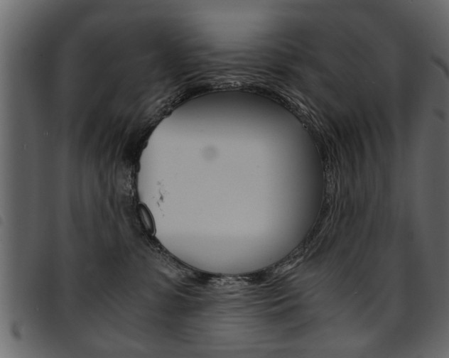 X0000094910331200711291005
