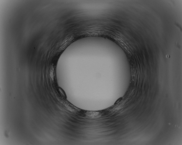 X0000094910334200711291005
