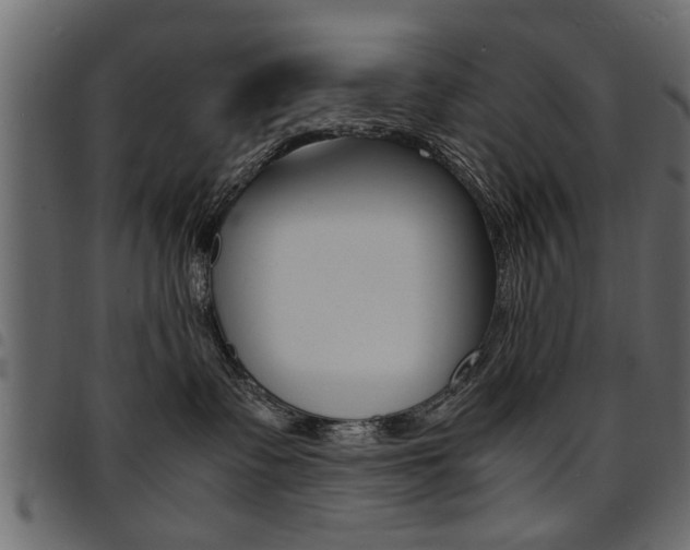 X0000094910335200711291005