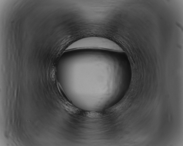 X0000094910336200711291005
