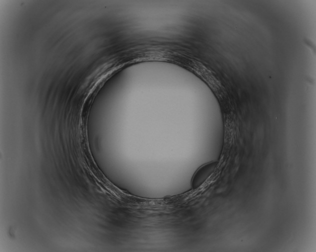 X0000094910338200711291005