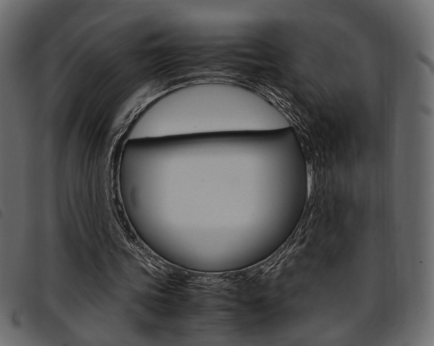 X0000094910339200711291005