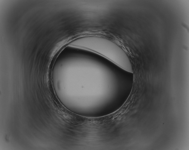 X0000094910340200711291005