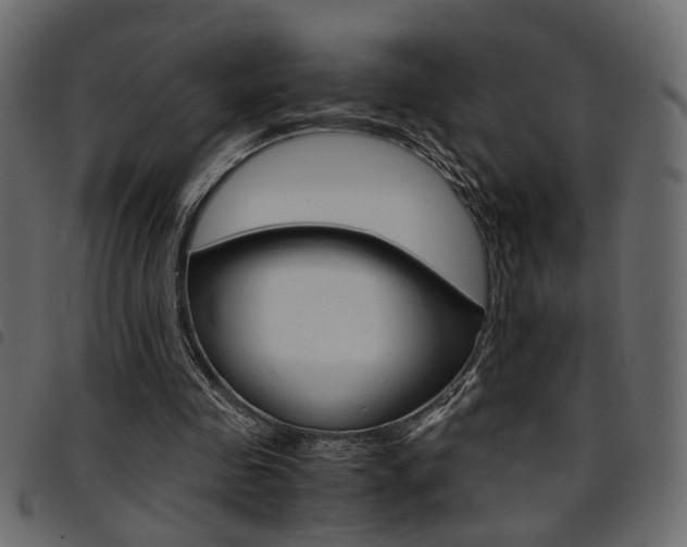 X0000094910341200711291005