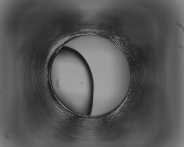 X0000094910342200711291005