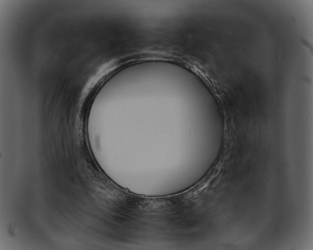 X0000094910343200711291005