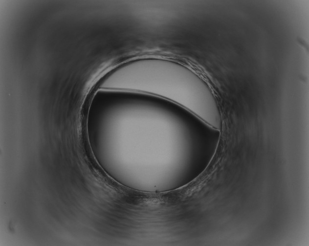 X0000094910344200711291005