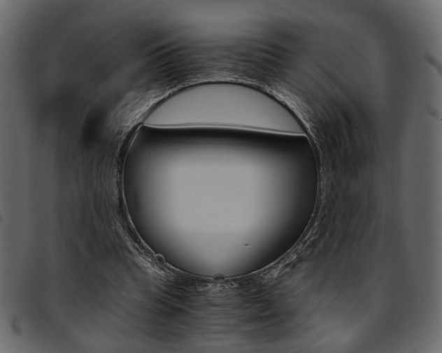 X0000094910345200711291005