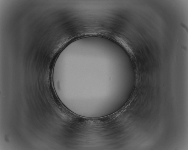 X0000094910346200711291005