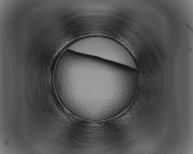 X0000094910347200711291005