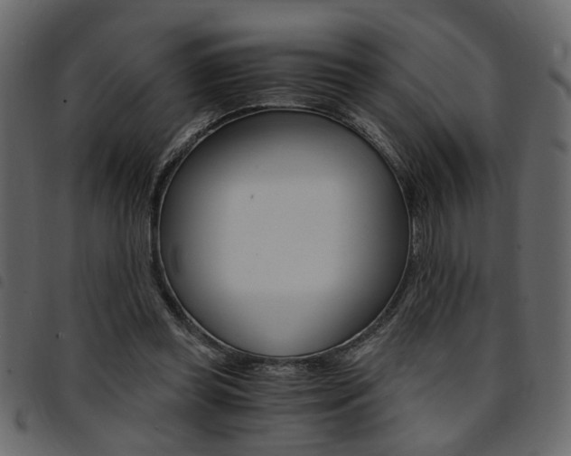 X0000094910349200711291005