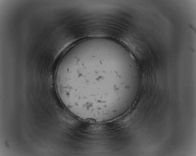 X0000094910351200711291005
