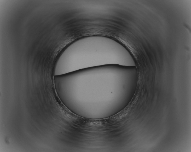 X0000094910353200711291005