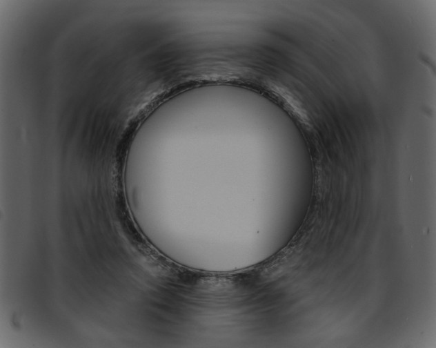 X0000094910354200711291005
