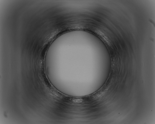 X0000094910355200711291005
