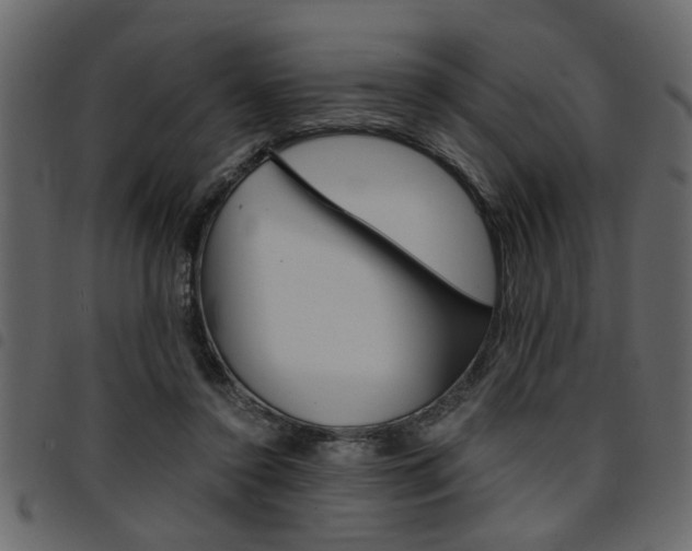 X0000094910356200711291005