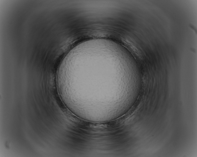 X0000094910359200711291005