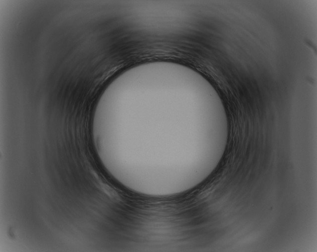 X0000094910360200711291005