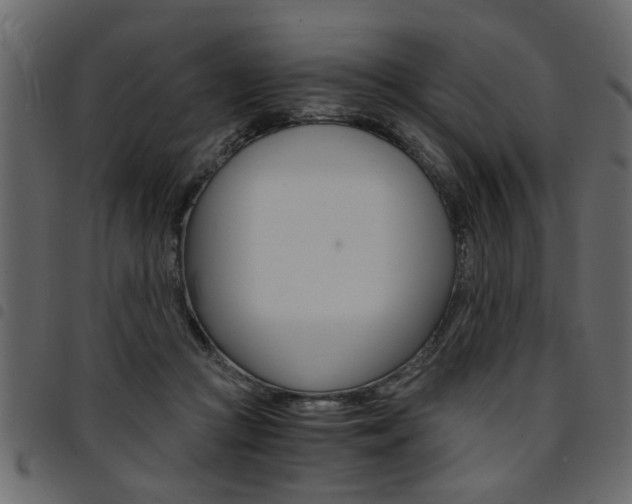 X0000094910361200711291005