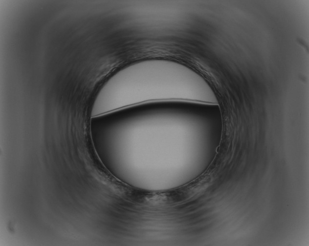 X0000094910362200711291005