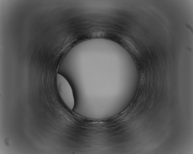 X0000094910363200711291005