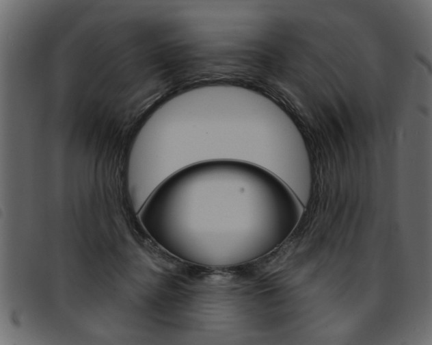 X0000094910364200711291005