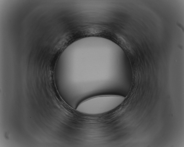 X0000094910366200711291005