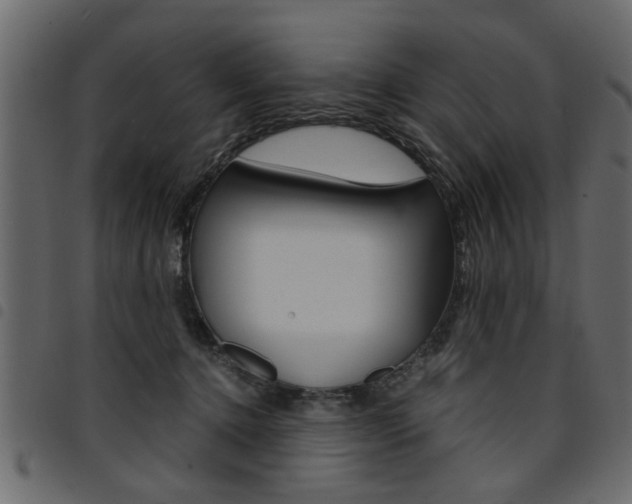 X0000094910368200711291005