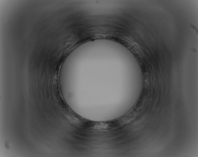 X0000094910369200711291005