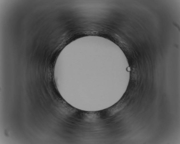 X0000094910370200711291005