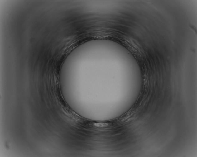 X0000094910371200711291005