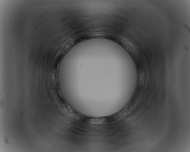 X0000094910373200711291005