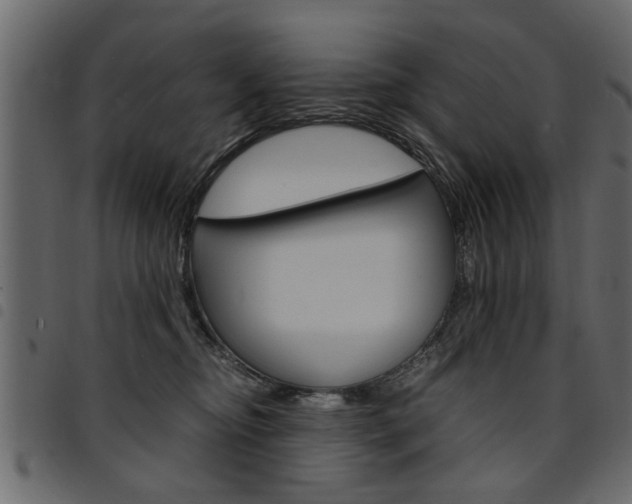 X0000094910374200711291005