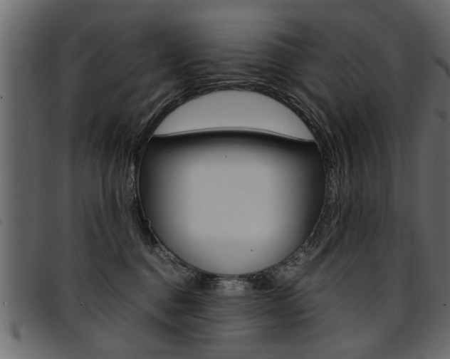 X0000094910376200711291005