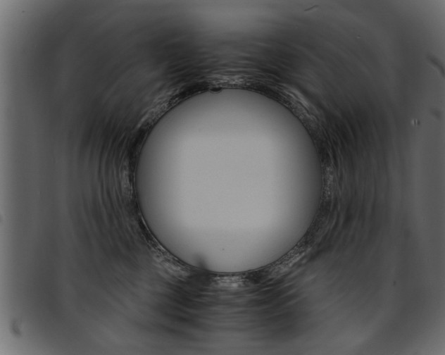 X0000094910377200711291005
