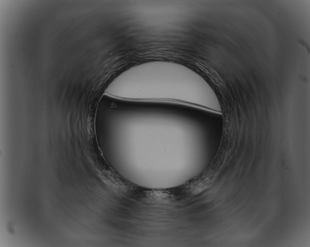 X0000094910380200711291005